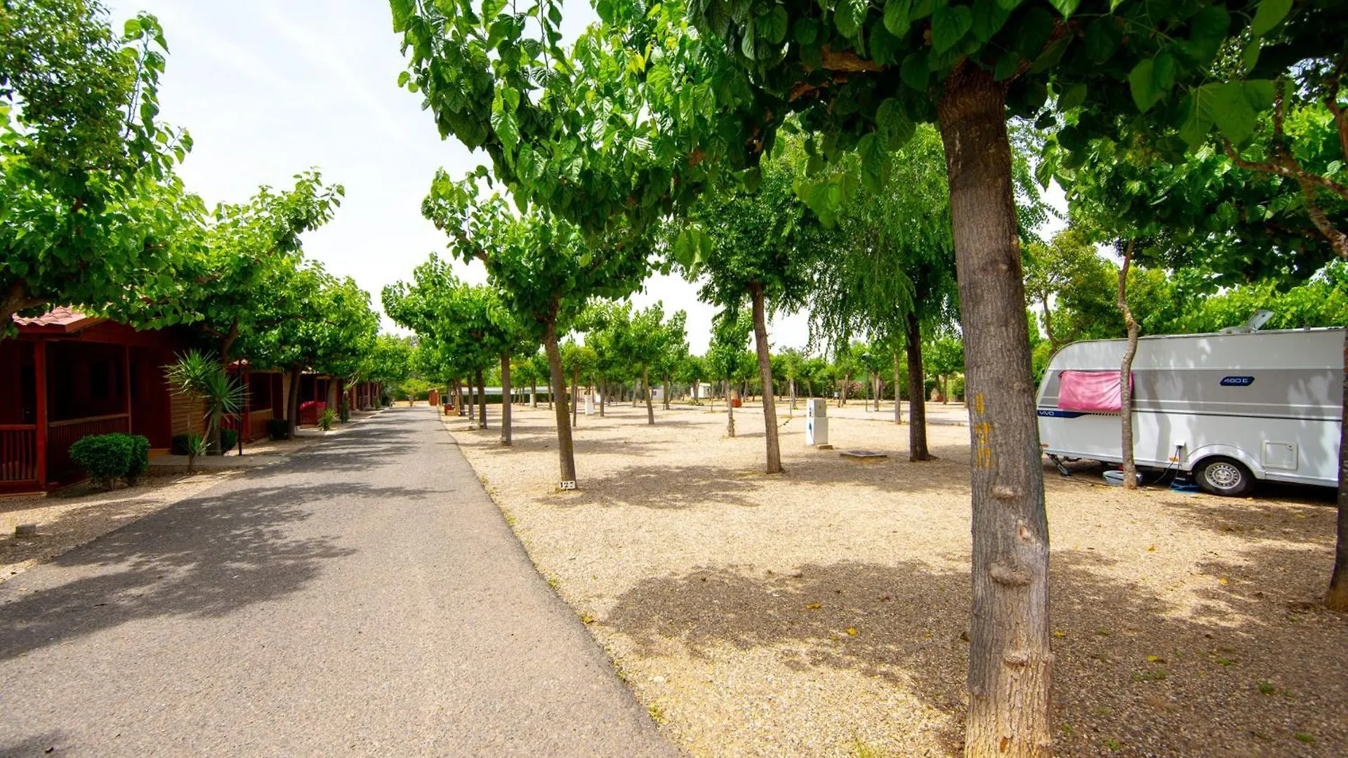 Camping Carlos III La Carlota Holiday park